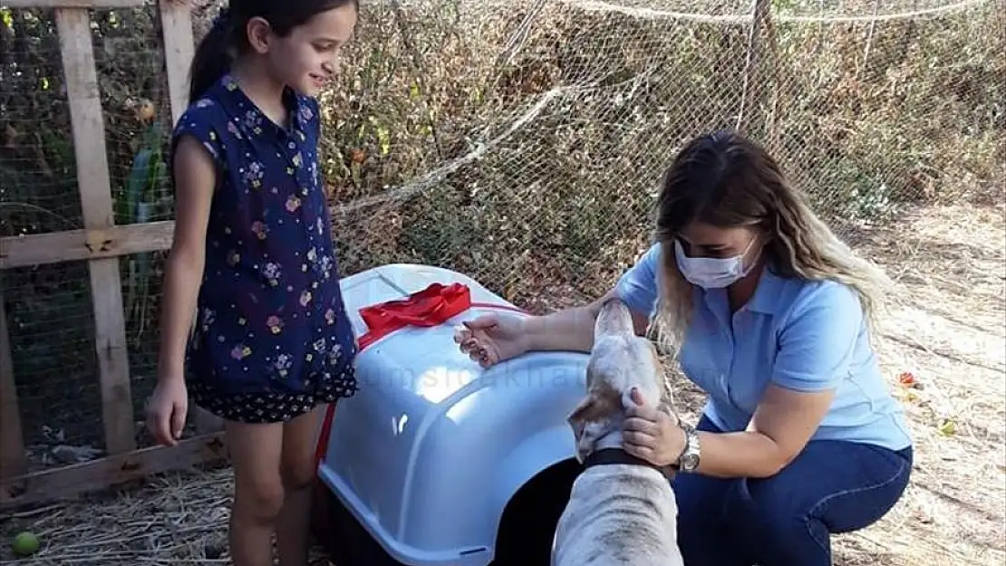 Marmaris'teki yangında köpeğinin kulübesi yanan çocuğun dileğini Kaymakamlık gerçekleştirdi