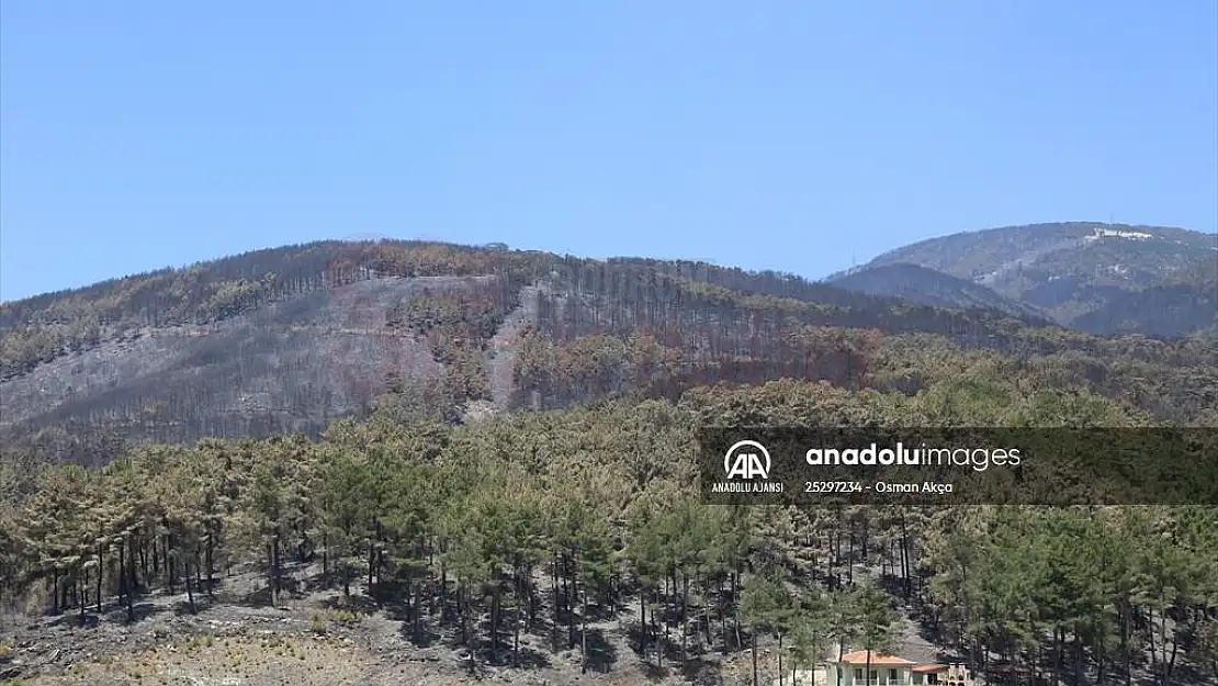 Menteşe'deki orman yangınlarından çoğu etkin mücadeleyle kontrol altına alındı
