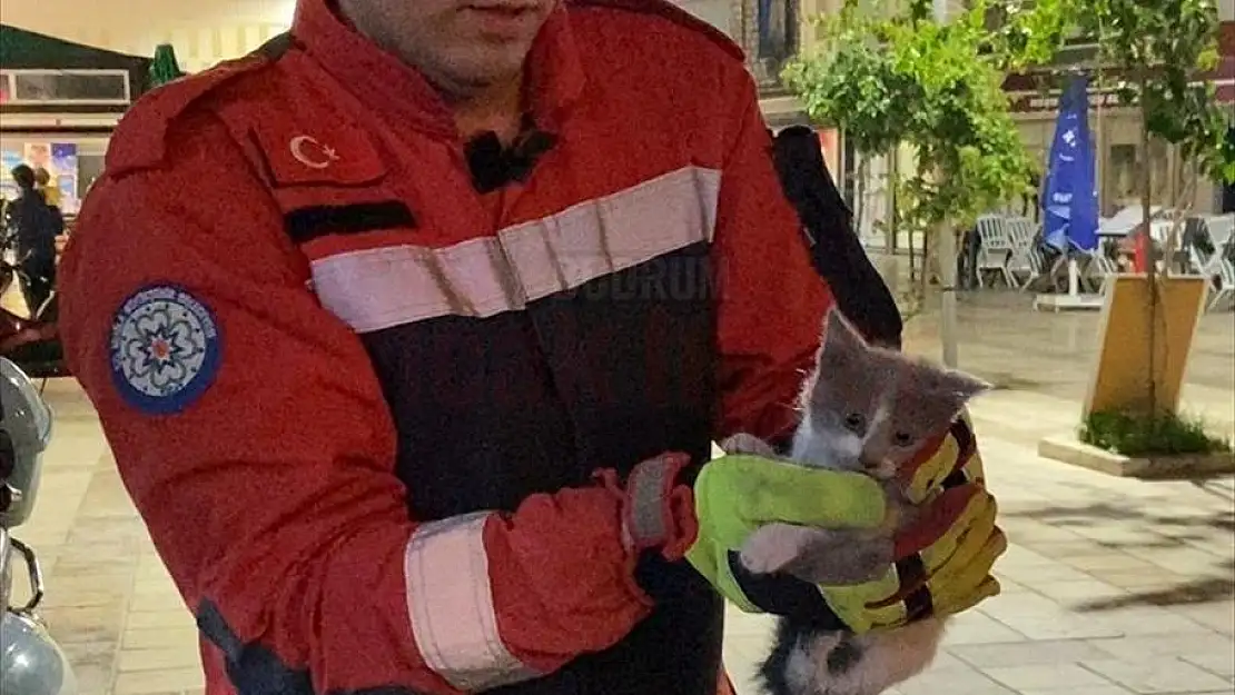merdivenle duvar boşluğu arasına sıkışan kedi yavrusu kurtarıldı