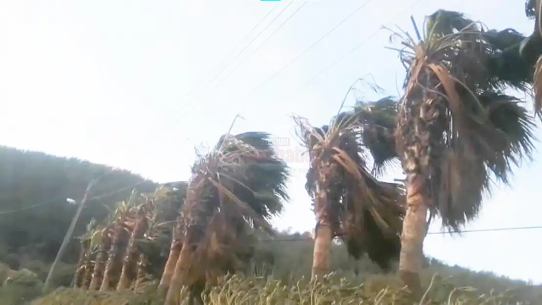 Meteorolojiden Dolu, Yağış ve Fırtına Uyarısı