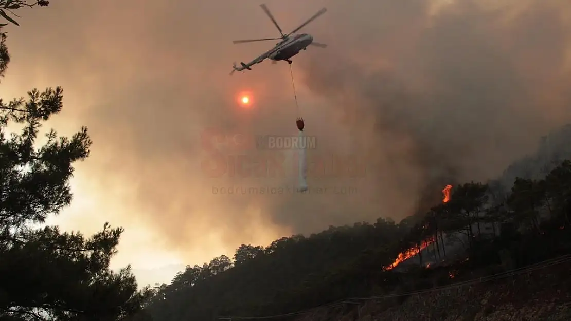 Meteoroloji'den Orman Yangını Uyarısı