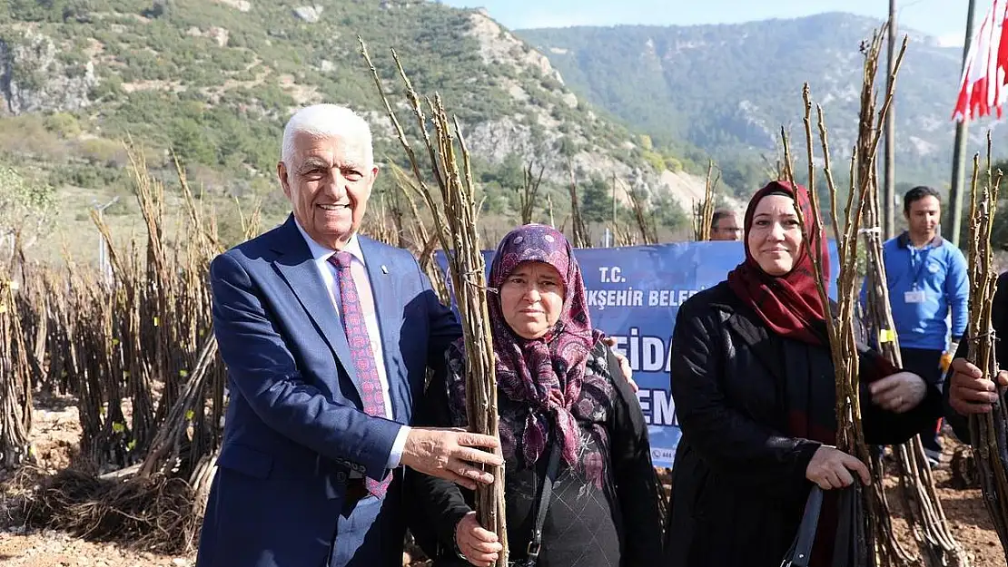 Meyve Fidanı, Yem ve Tohumluk Patates Dağıtıldı