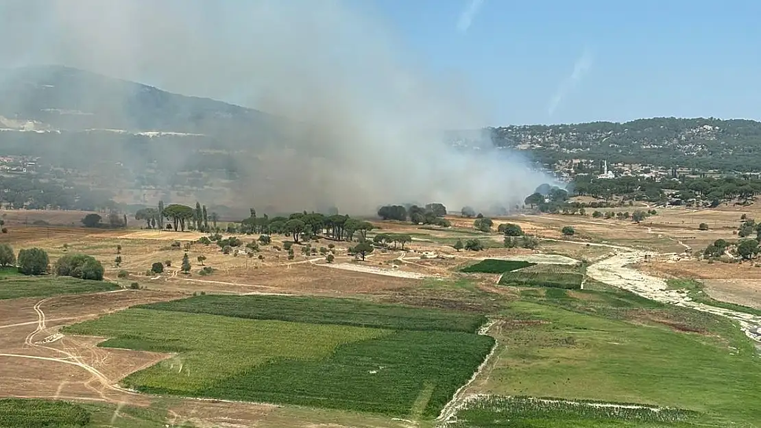 Milas'ta İkinci Orman Yangını