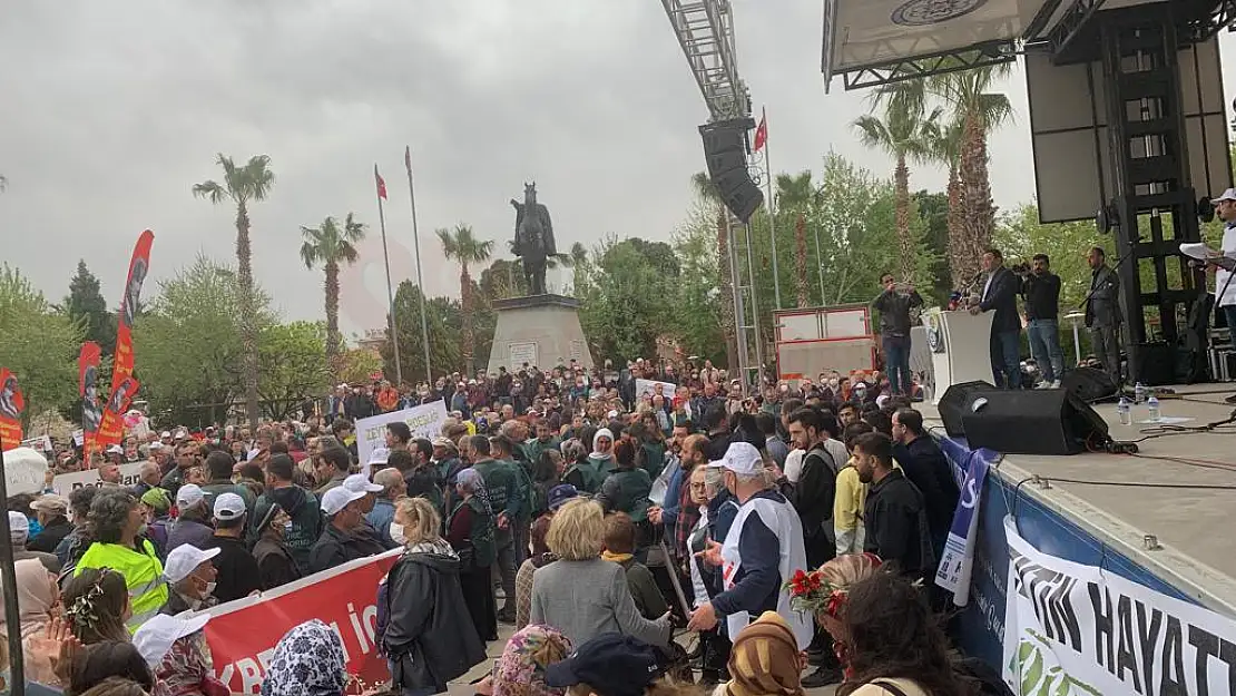 Milas'ta 'Zeytin Hayattır' mitinginde Milas Belediye Başkanı Düdüklerle Protesto Edildi