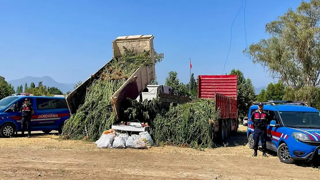 Mısır tarlası zehir tarlası çıktı