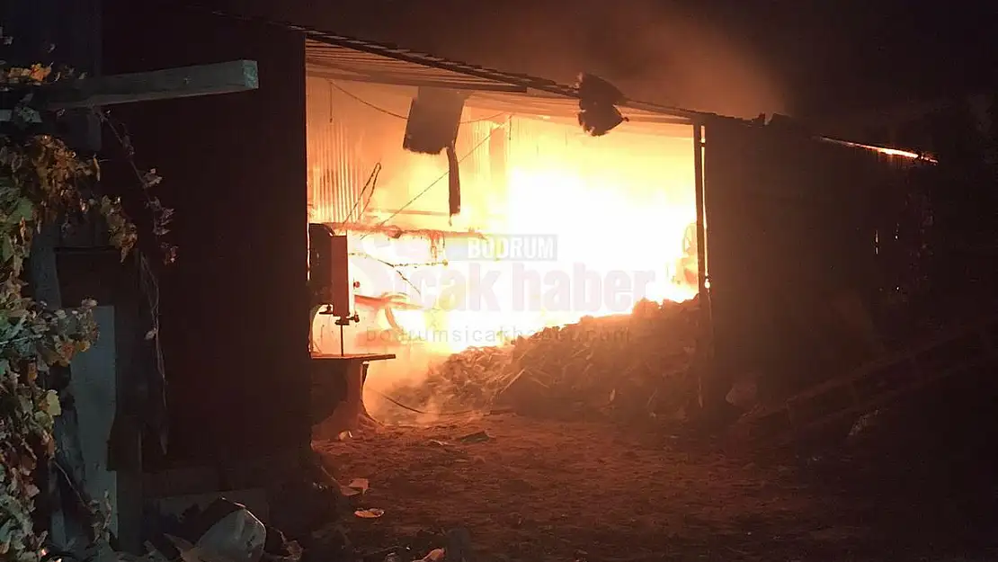 Mobilya İşyerinde Yangın