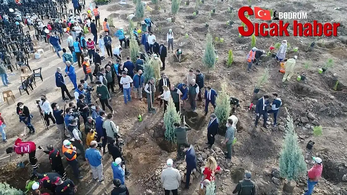Muğla' da 125 Bin Fidan Dikimi Gerçekleştirildi