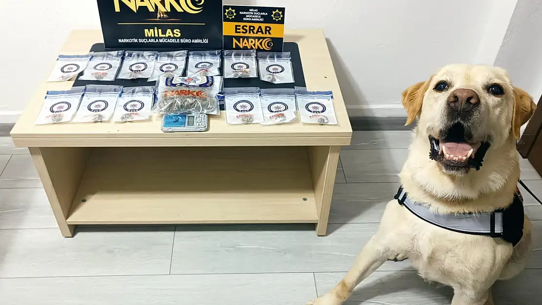 Muğla'da Uyuşturucu Tacirlerine Geçit Yok: 5 Tutuklama