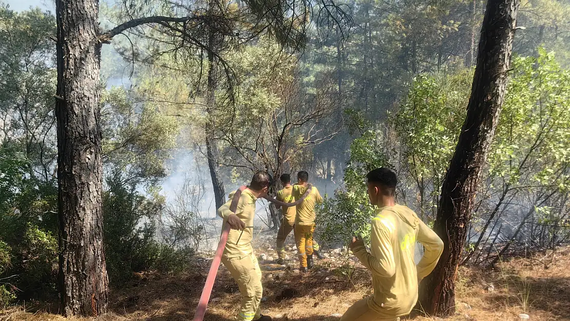 Muğla'daki orman yangını kontrol altına alındı