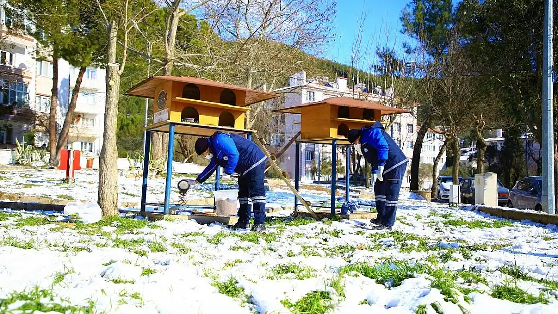 Muğla Genelinde Sokak Hayvanlarını Yalnız bırakmadılar