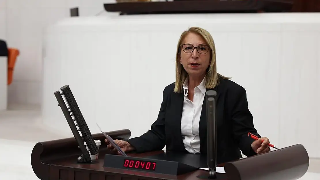 Muğla Milletvekili Süreyya Öneş Derici 'Ordu ve Siyaset Bir Arada Olamaz'