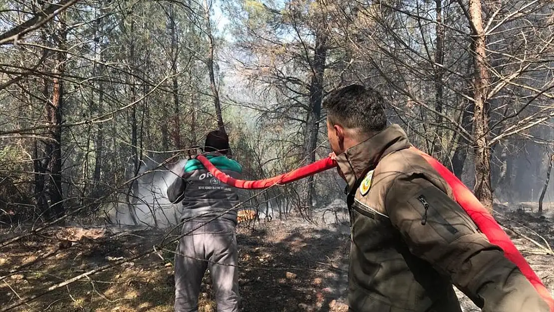 Muğla'da Çıkan Orman Yangını Söndürüldü