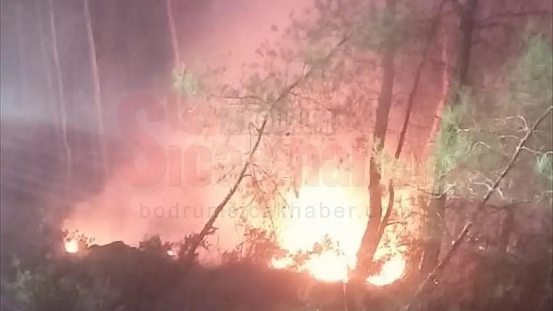 Muğla'da çıkan orman yangını söndürüldü