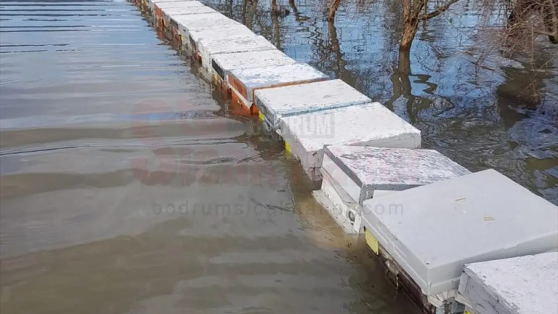Muğla'da şiddetli yağıştan su baskınları yaşandı, arı kovanları zarar gördü