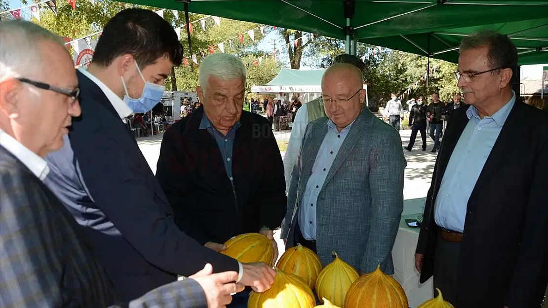 Muğla'da Yayla Kavunu Yarışması düzenlendi