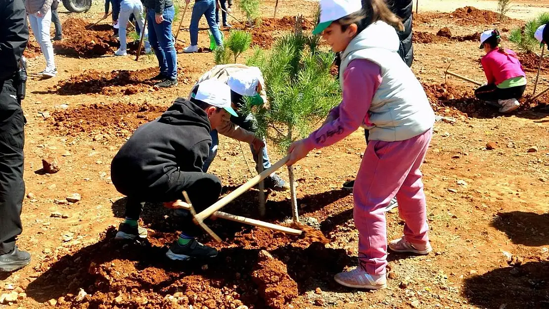 Muğla'nın 11 İlçesinde, 11 Kasım'da, Saat 11.11'de Binlerce Fidan Toprakla Buluşacak