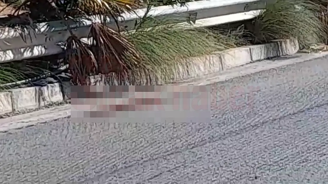 MUSKİ Personeli Yol Kenarında Kanlar İçinde Bulundu