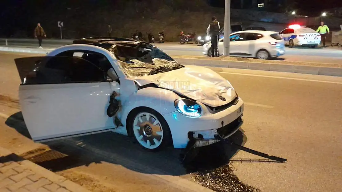 Önüne Çıkan Hayvanı Telef Eden Sürücü Kazada Yaralandı