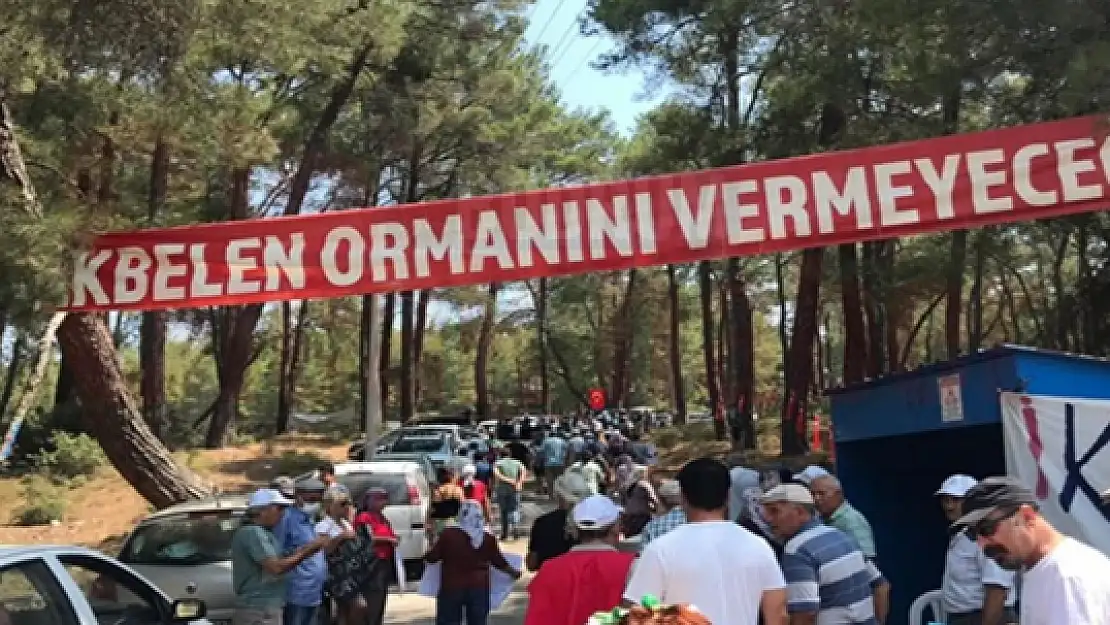 Orman Katliamlarına Son Verilsin