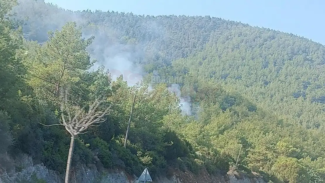 Orman Yangını Kısa Sürede Söndürüldü