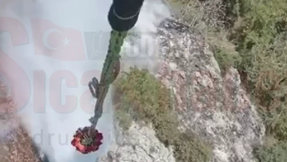 Orman Yangınında 5 Dekar Alan Zarar Gördü