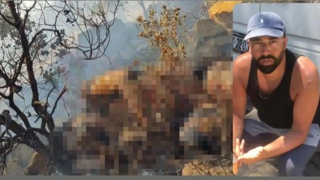 Orman Yangınında Bulunan Cesettin Kimliği Belli Oldu
