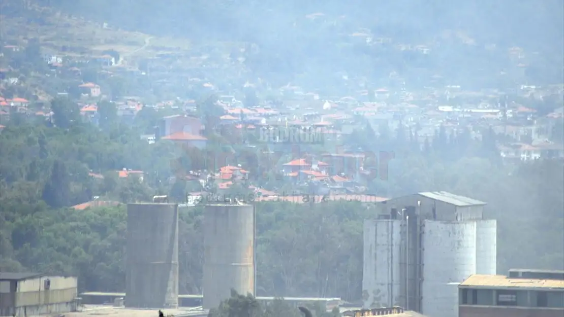 Ormanlık alana sıçrayan yangının başladığı fabrikada soğutma çalışmaları devam ediyor