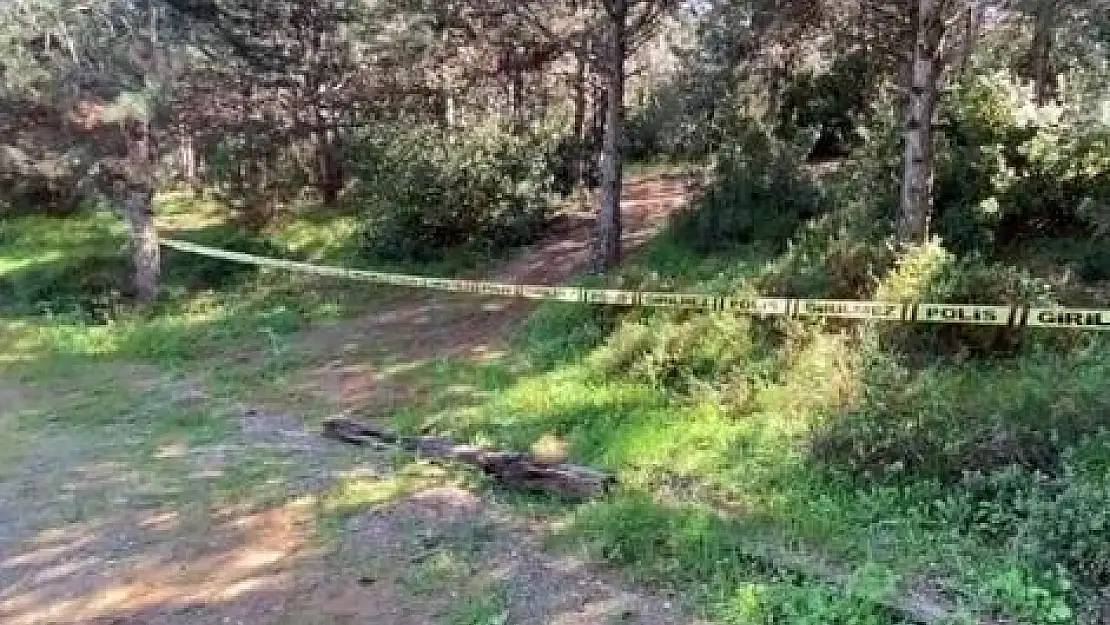 Ormanlık Alanda Kadın Cesedi Bulundu