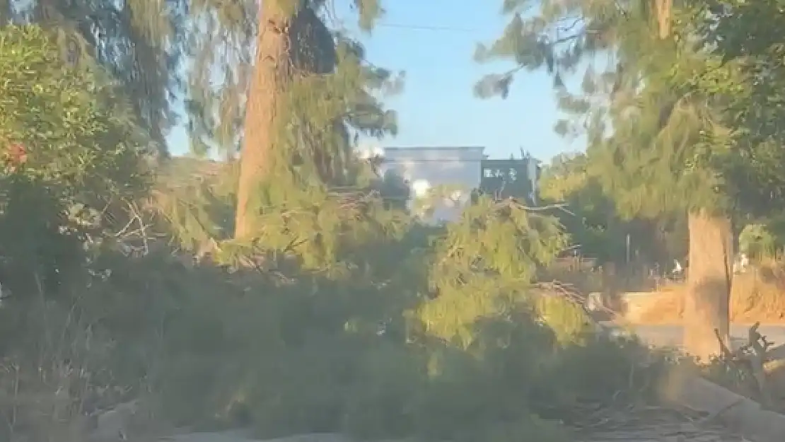 Ortakent'te devrilen ağaç yolu kapattı, vatandaşlar mağdur oldu