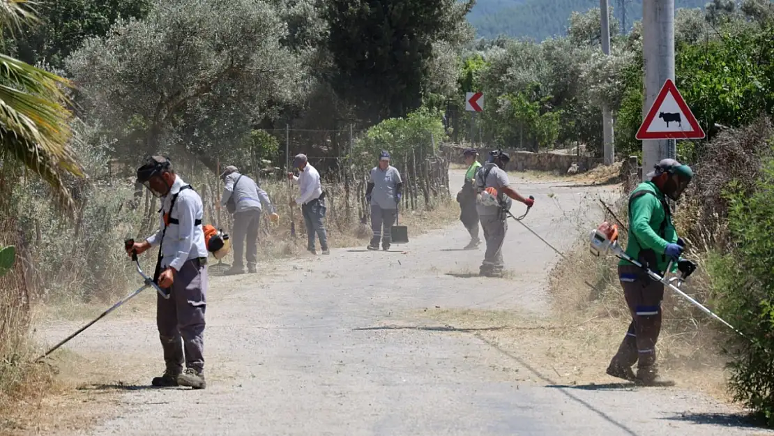 Ot temizliği ve budama çalışmaları devam ediyor