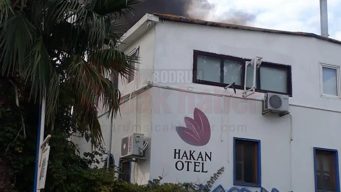 Otelde Çıkan Yangında Can Dostları Ekiplerce Kurtarıldı
