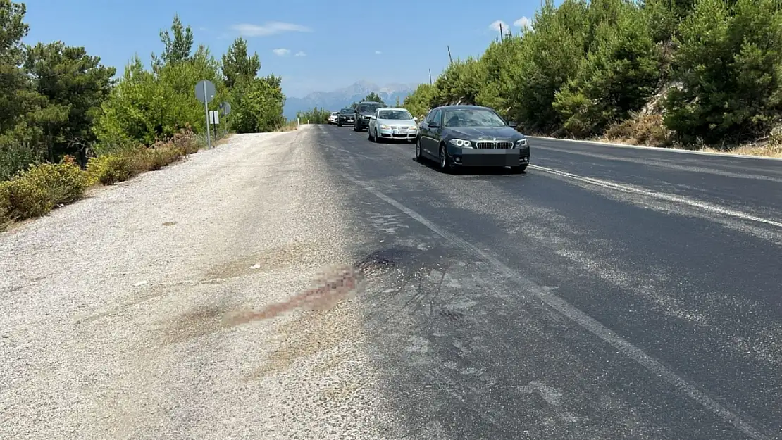 Otobüsün çarptığı yaya hayatını kaybetti
