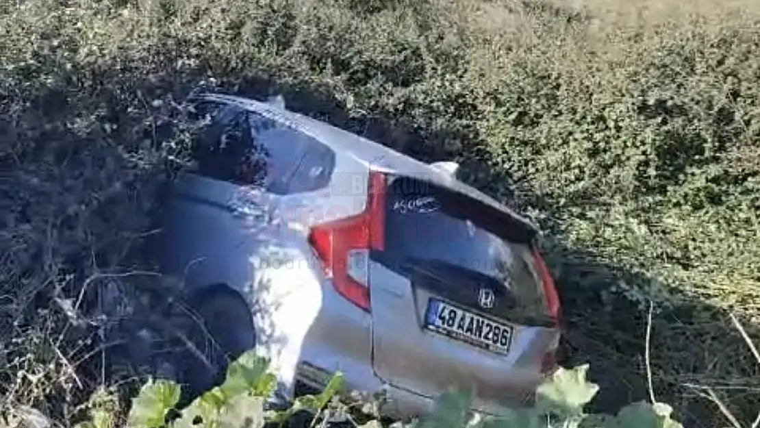 Otomobil Şarampole Uçtu: 2 Yaralı