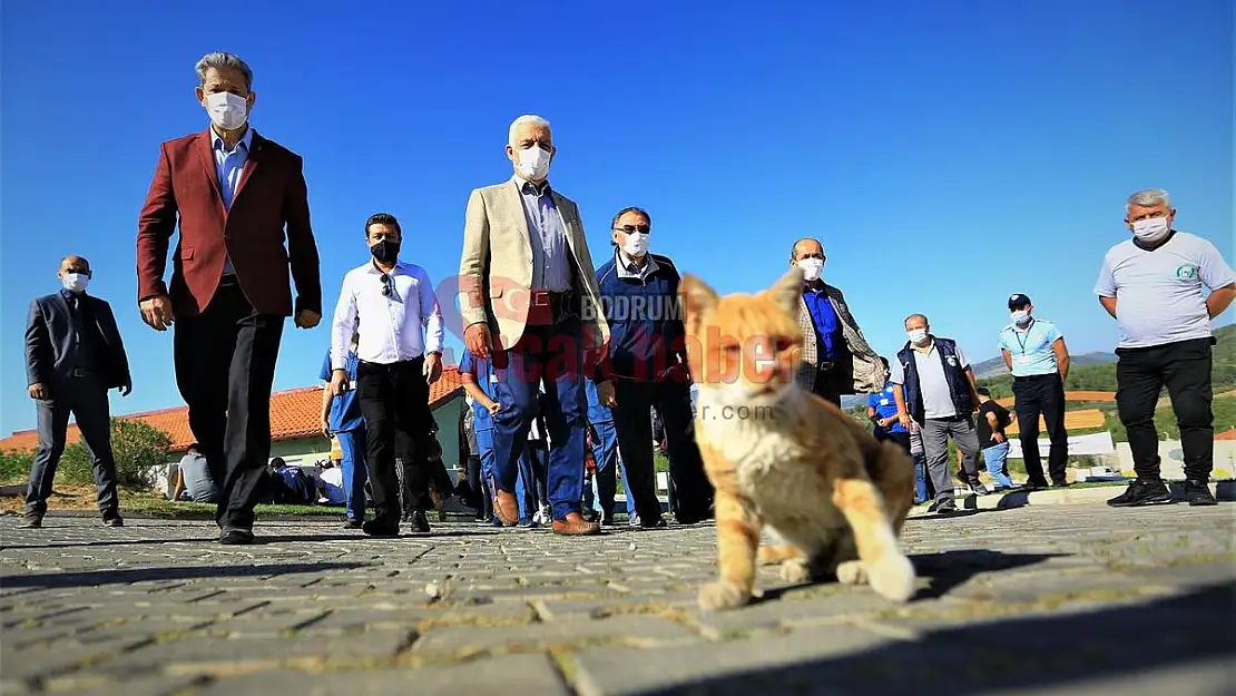 Pandemi Döneminde Can Dostlara İlgi Arttı