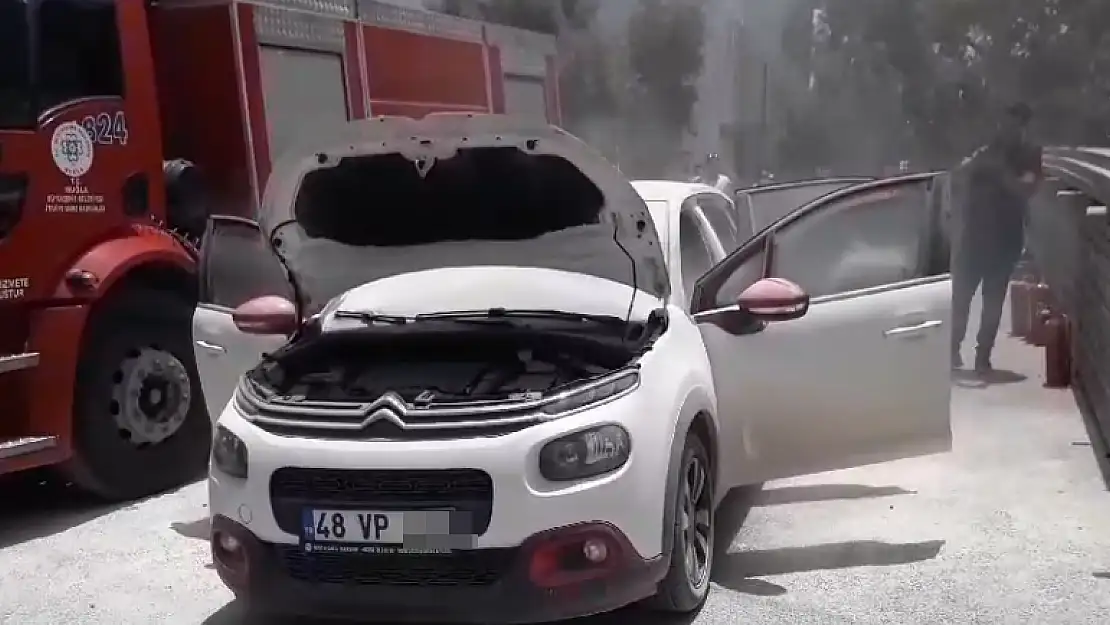 Park Halinde Yanmaya Başladı