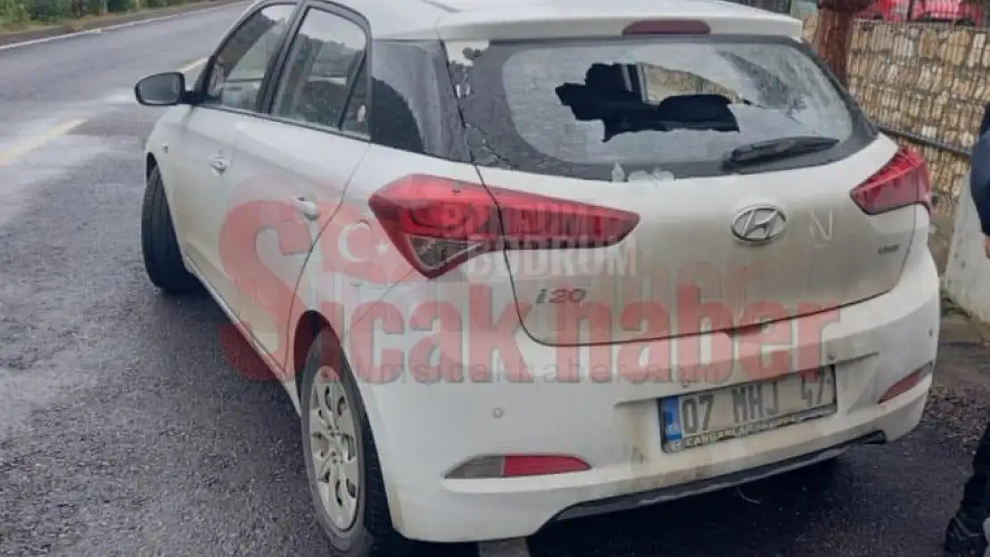 Park Halindeki Aracın Camını Kırdılar