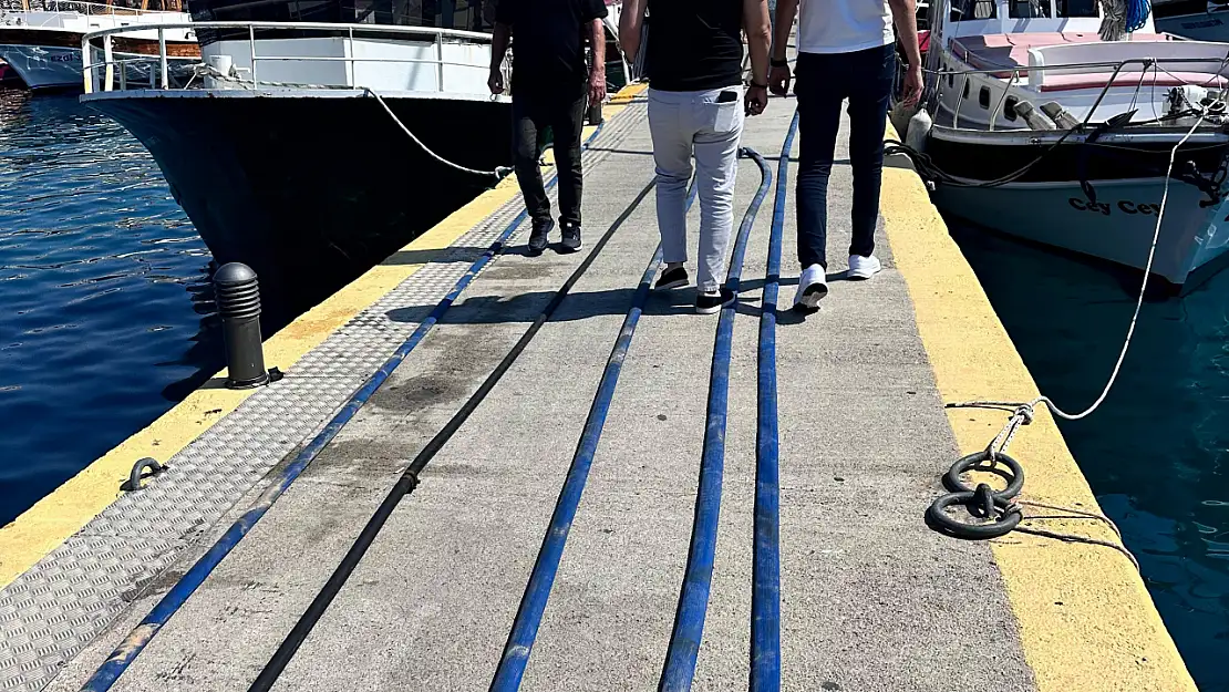 Pislik içinde mavi tur