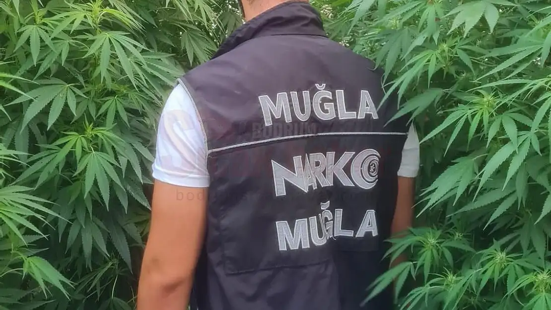 Polis Ekiplerinden Seraya Uyuşturucuya Baskını