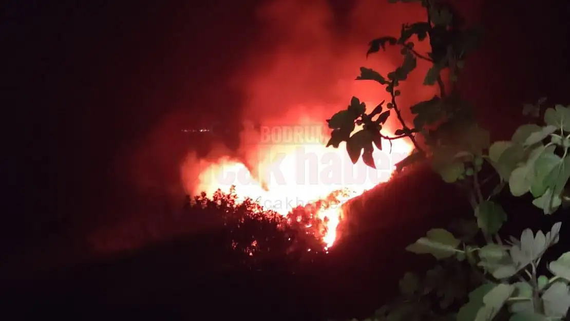Sabaha Karşı Bodrum'da Ormanlık Alanda Yangın Çıktı