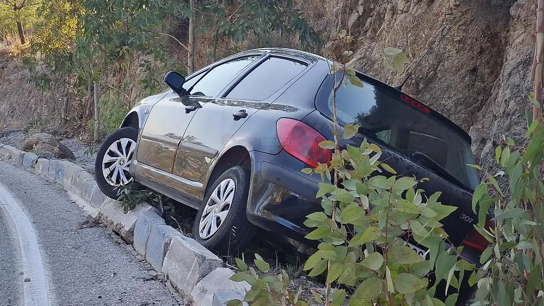 Şarampolde Duran Araç Merak Konusu Oldu