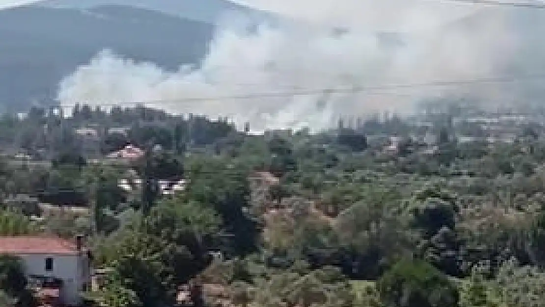 Sazlık Alanda Yangın Çıktı
