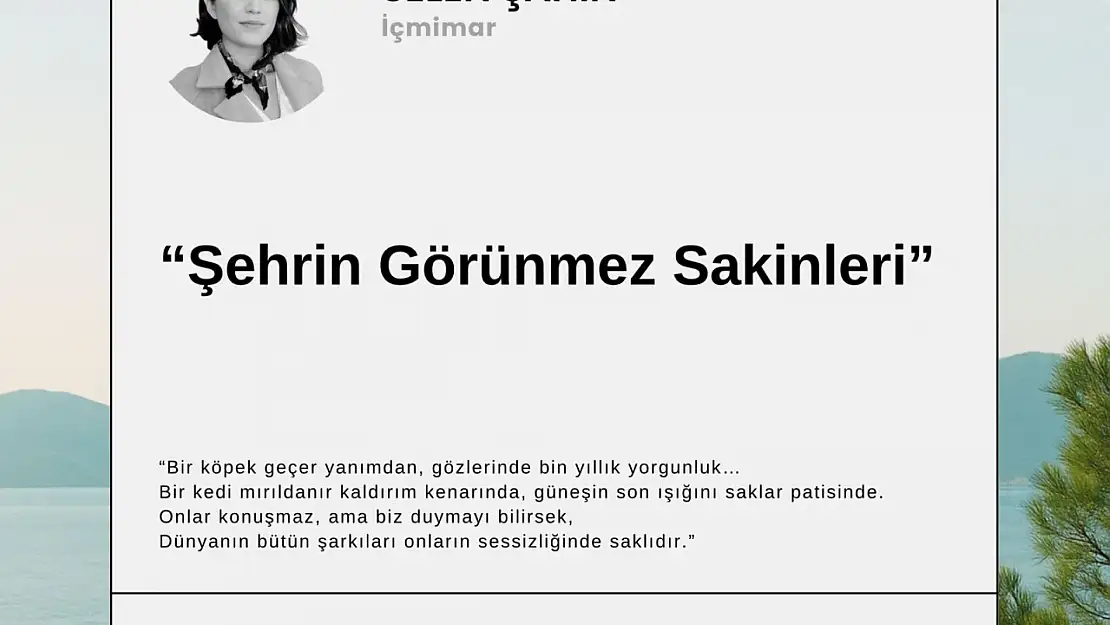 Şehrin görünmez sakinleri