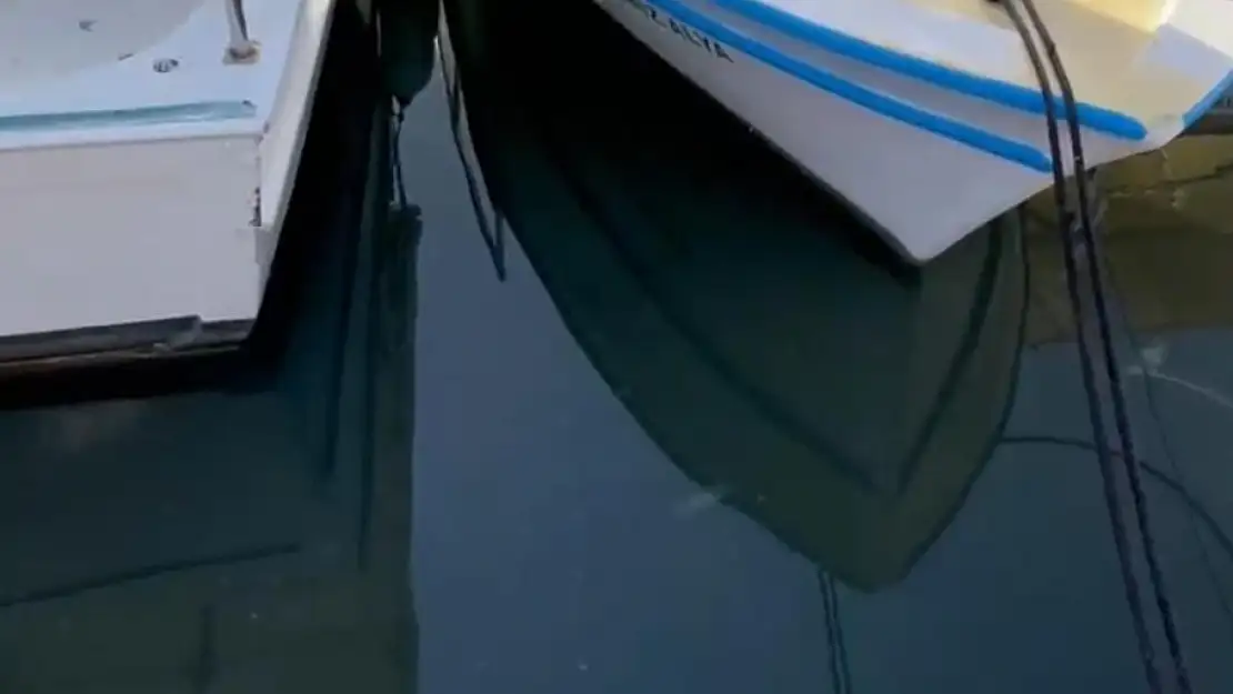 Sevgililer günü etkinliğinde şok manzara