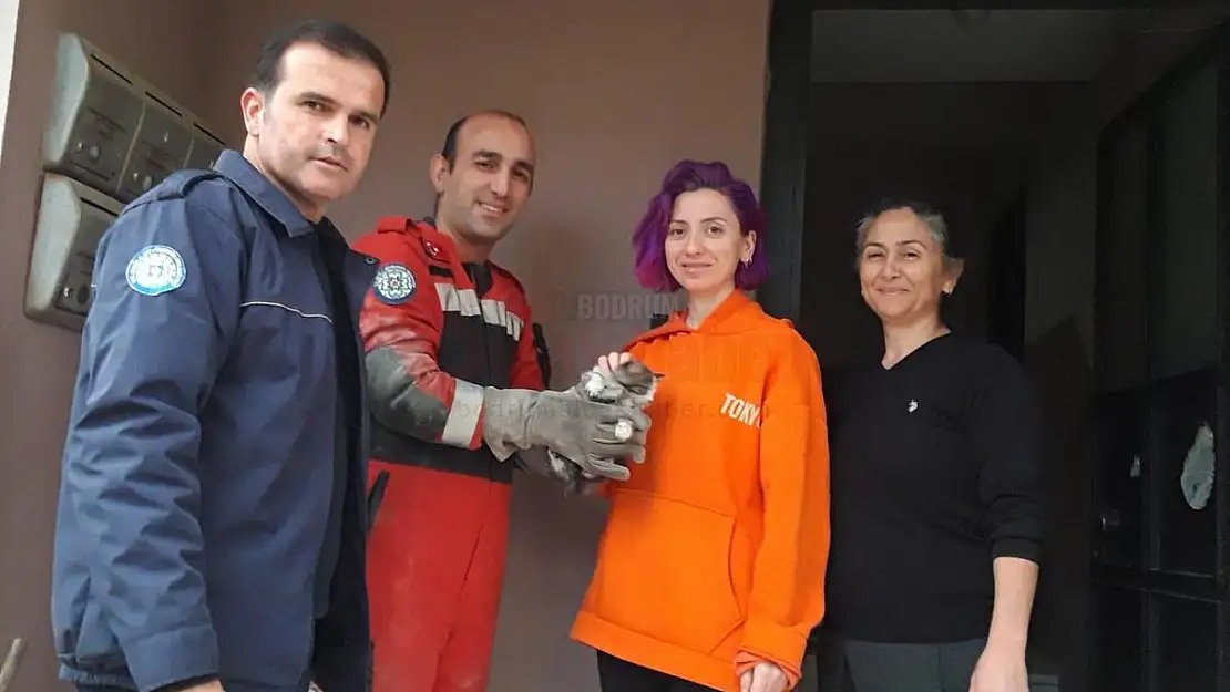Sıkışan Yavru Kediyi İtfaiye Ekipleri Kurtardı