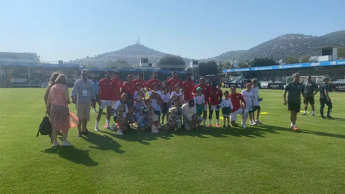 Sokak Hayvanlarına Destek için Sahaya Çıktılar