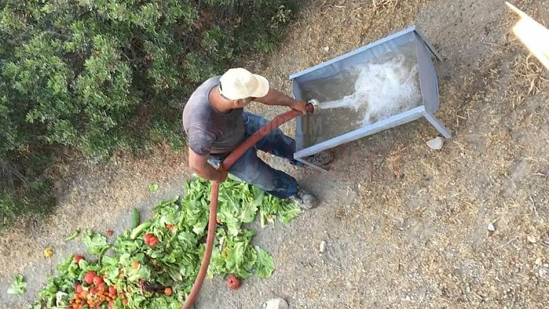 Sokak Hayvanlarına Devamlı Su ve Yemek Veriyorlar