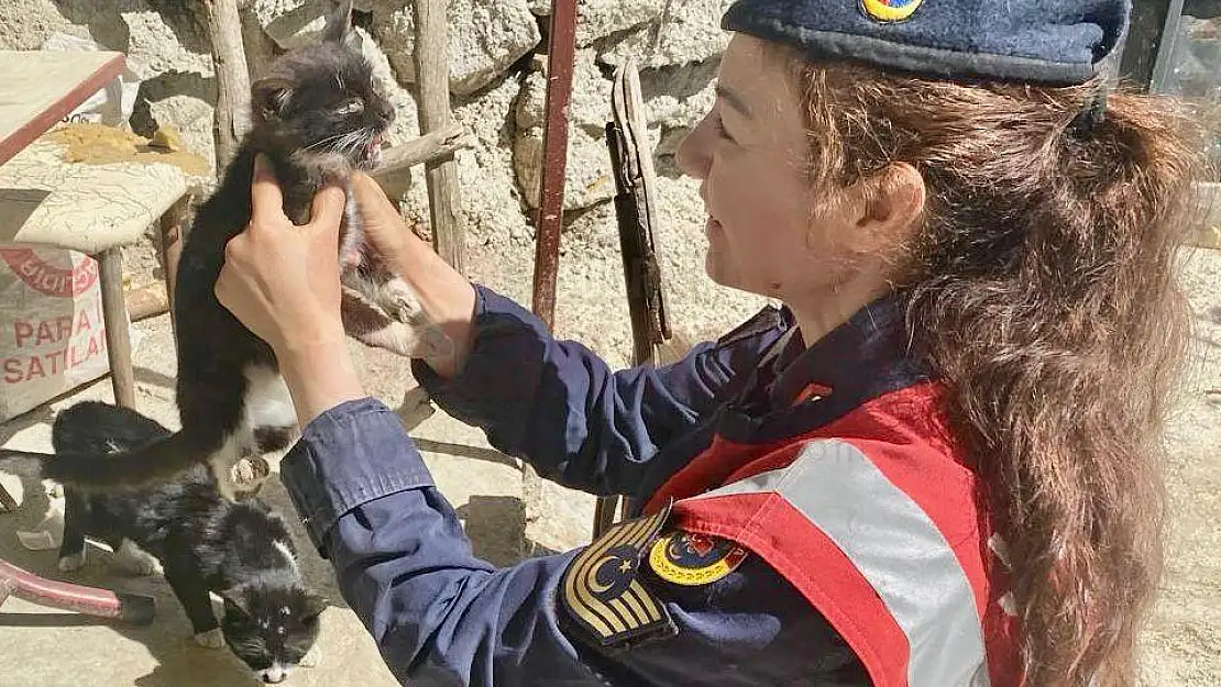 Sokakta Yaşayan Hayvanları Beslediler