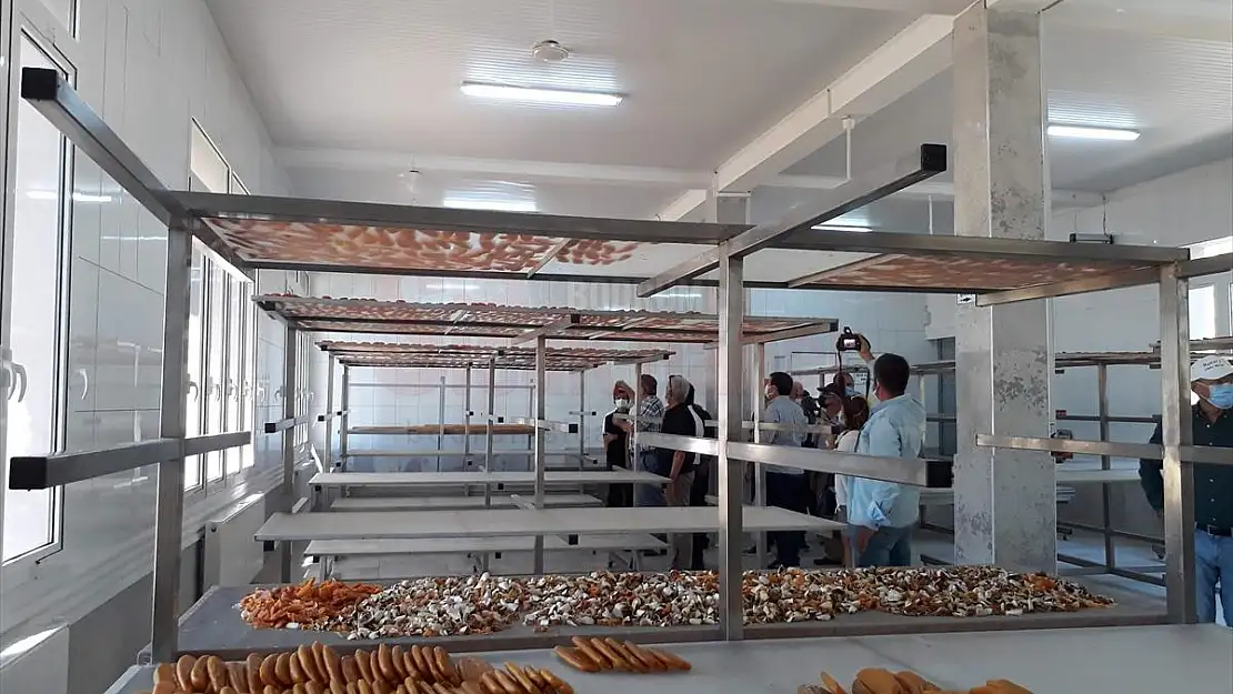 Su ürünleri kooperatifleri temsilcileri Köyceğiz'de buluştu