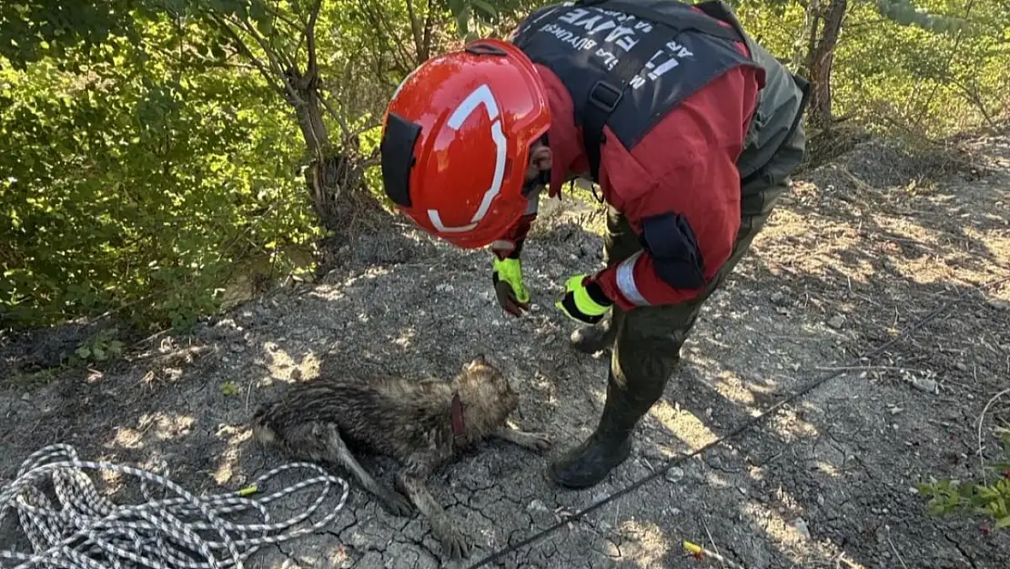 Sulama Kanalına Düşen Köpek Kurtarıldı