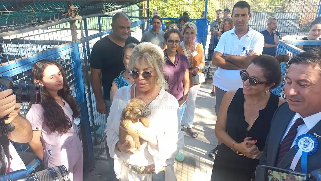 Süperstar Ajda Pekkan Bodrum Geçici Hayvan Bakımevini Ziyaret Etti